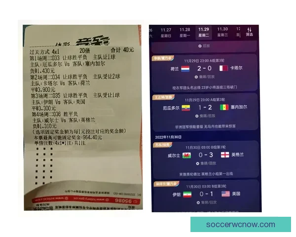 世界杯精彩竞猜攻略汇总助你精准预测胜负收获惊喜体验