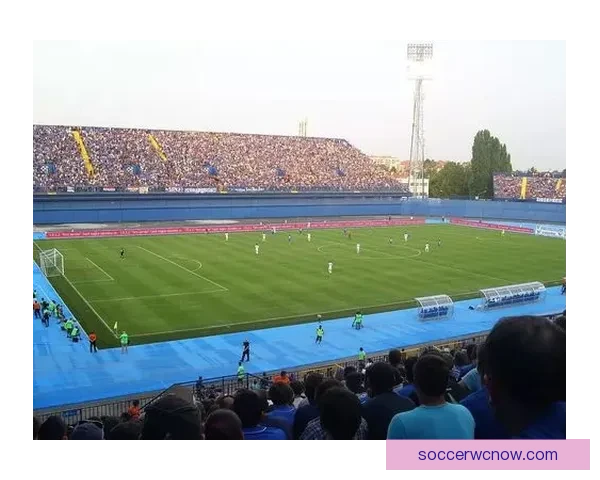 世界杯竞猜盘口深度解析与胜负趋势预测助你看懂每场比赛走势