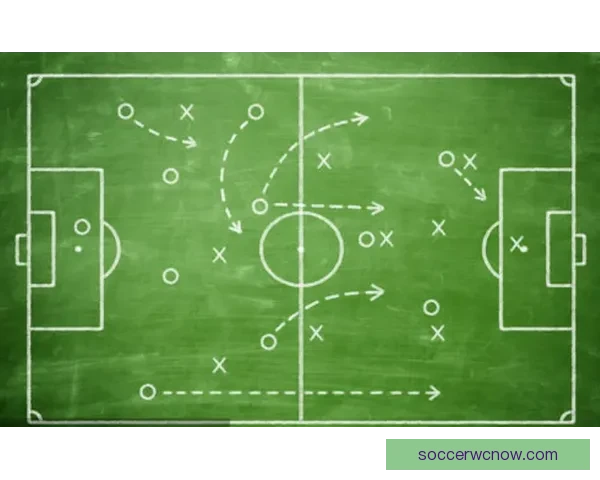 美加墨世界杯竞猜官网助你精准预测赛事结果畅享足球激情